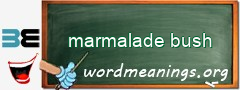 WordMeaning blackboard for marmalade bush
